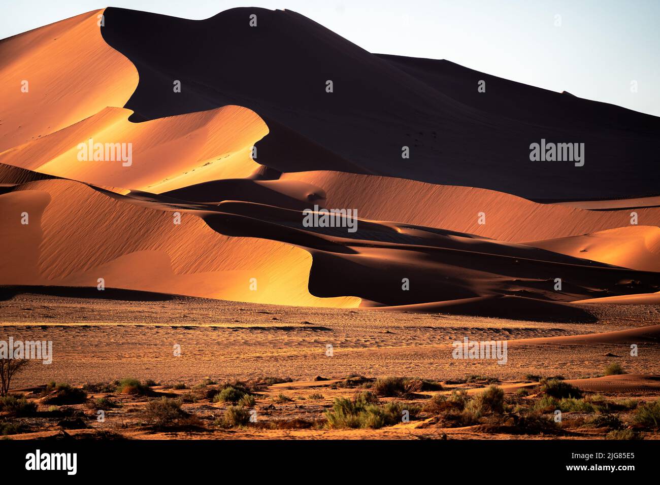 Un paesaggio panoramico in Big Mama Dune, Sossusvlei, Namib Desert, Namibia Foto Stock