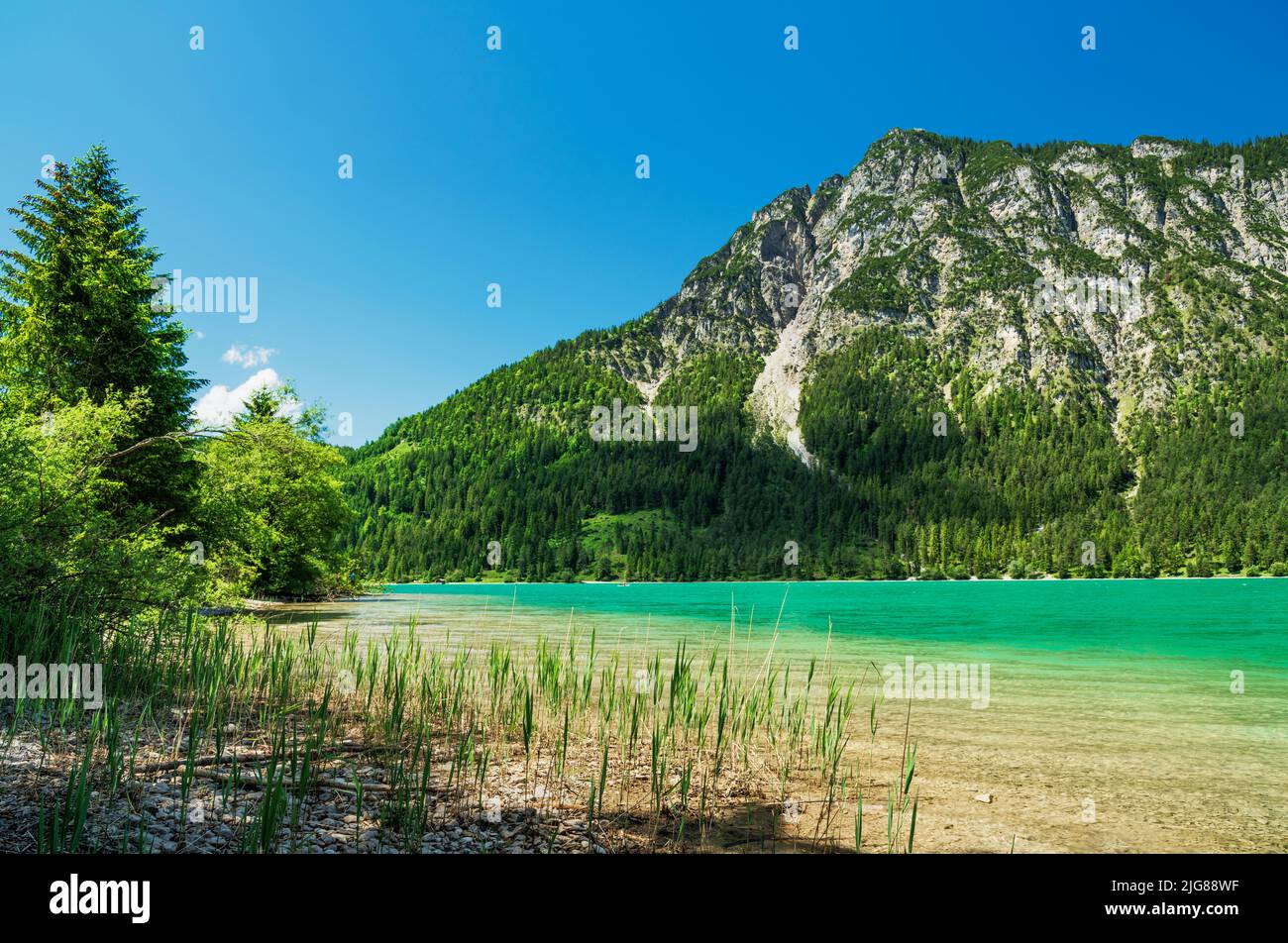 Lago Heiterwanger vedere in una soleggiata giornata estiva. Paesaggio alpino di montagna con lago di montagna e foreste. Tirolo Zugspitz Arena, Tirolo, Austria, Europa Foto Stock