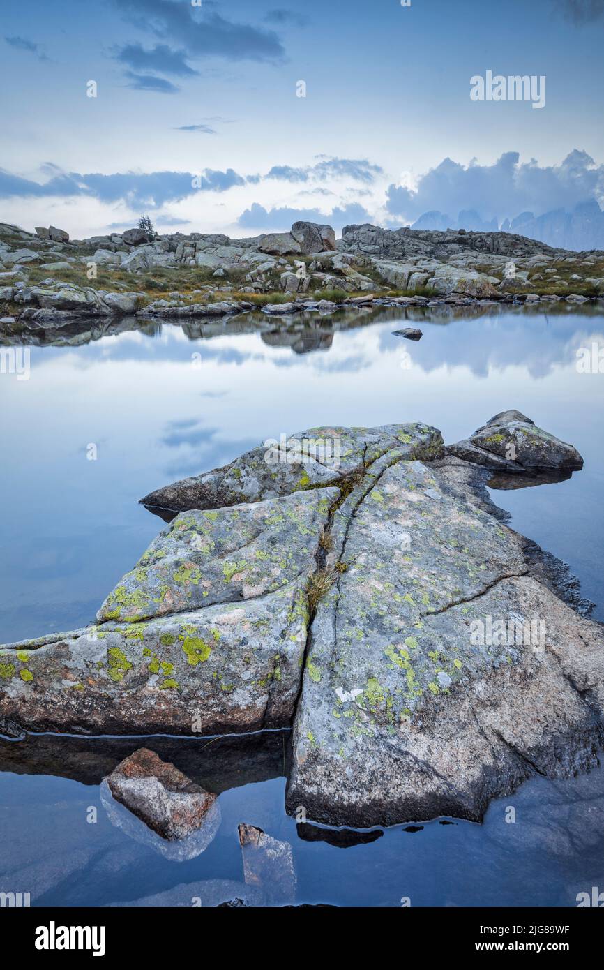 Italia, Trentino, provincia di Trento, piccola area umida alpina, laghetto, laghi di Juribrutto Foto Stock
