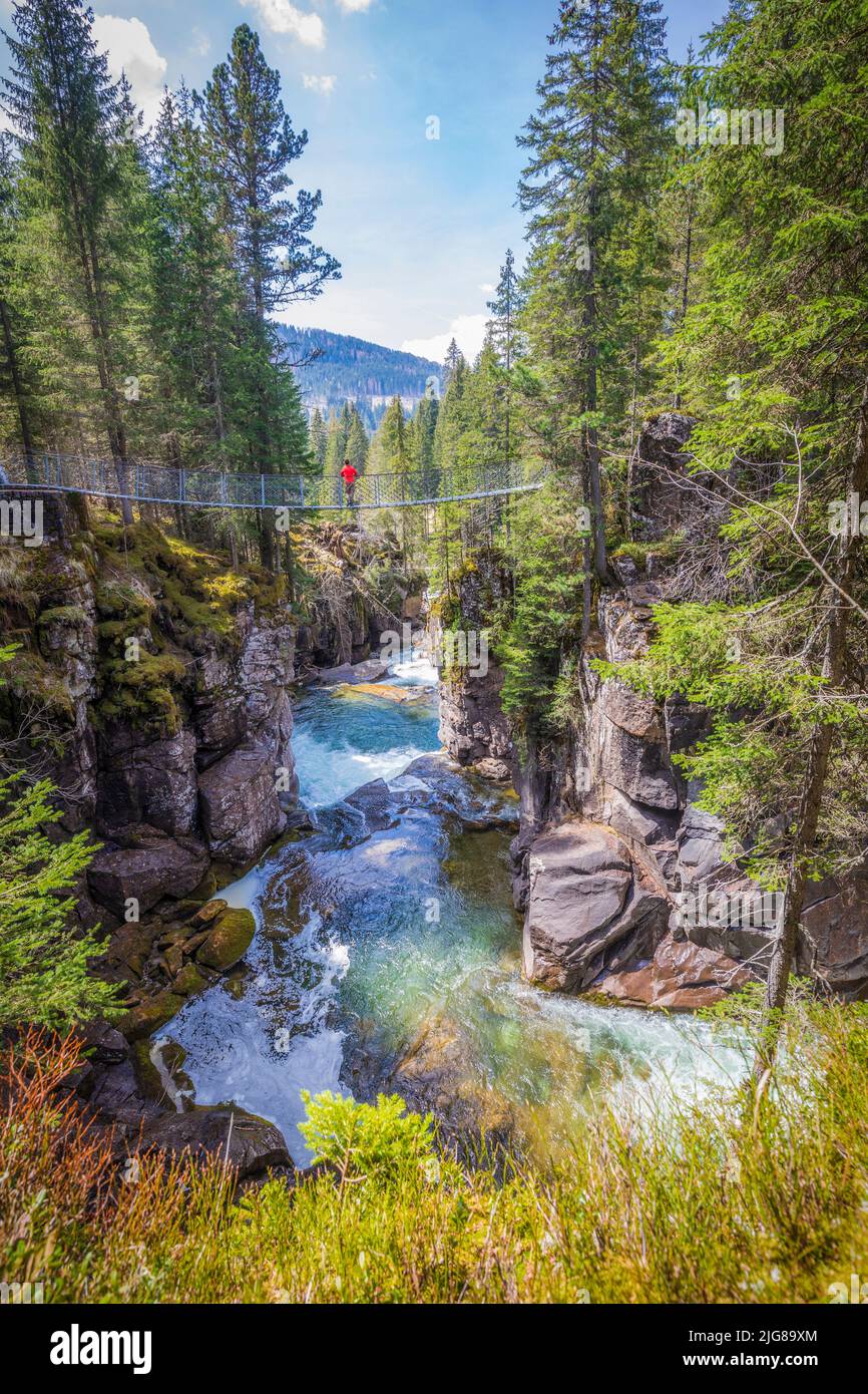 Italia, Trentino Alto Adige, provincia di Trento, Parco Naturale Paneveggio e pale di San Martino, una persona sola che si erge sul ponte sospeso della gola del Travignolo, Dolomiti Foto Stock