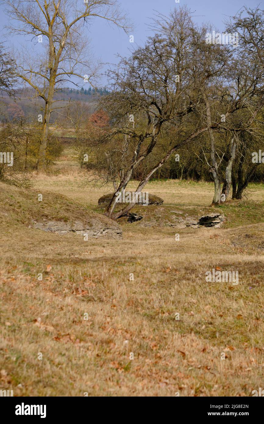 NSG Sulzheimer Gipshügel, County Schweinfurt, Lower Franconia, Baviera, Germania Foto Stock