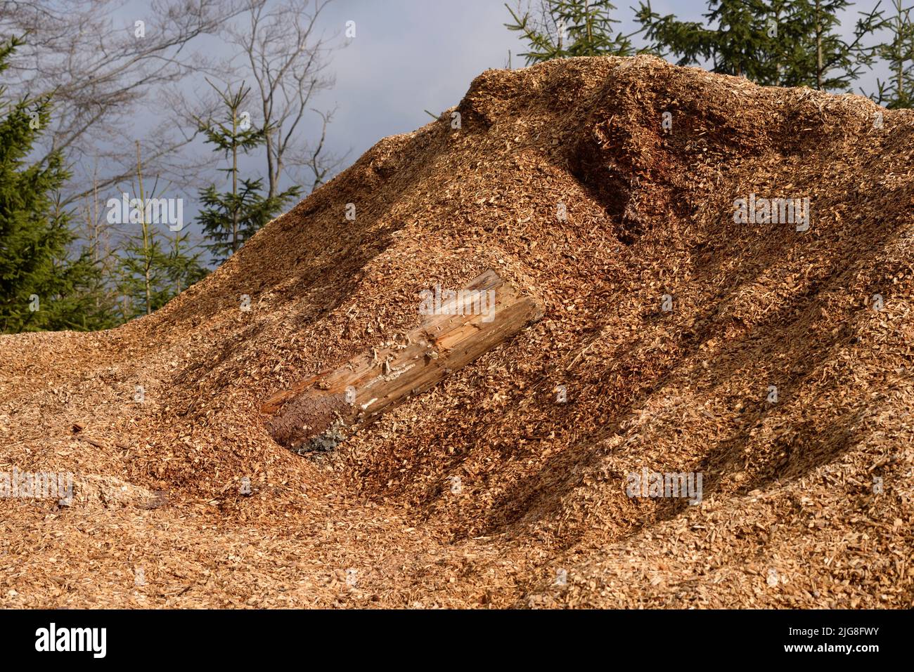 Colmo di trucioli di legno dopo taglio trasparente, per uso successivo come materiale di cottura industriale. Foto Stock