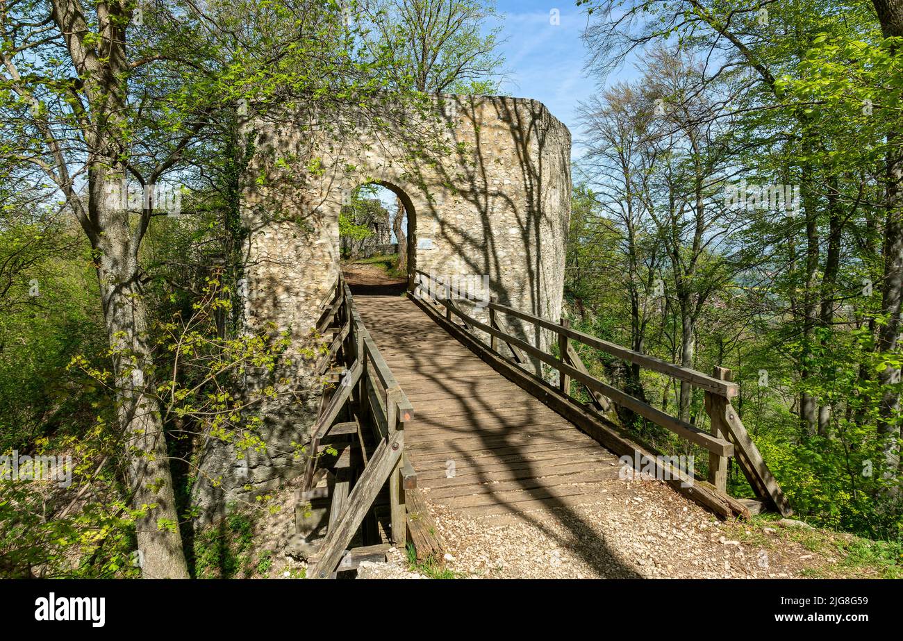 La bassa Diepoldsburg, meglio conosciuta come le rovine del castello di Rauber. Foto Stock