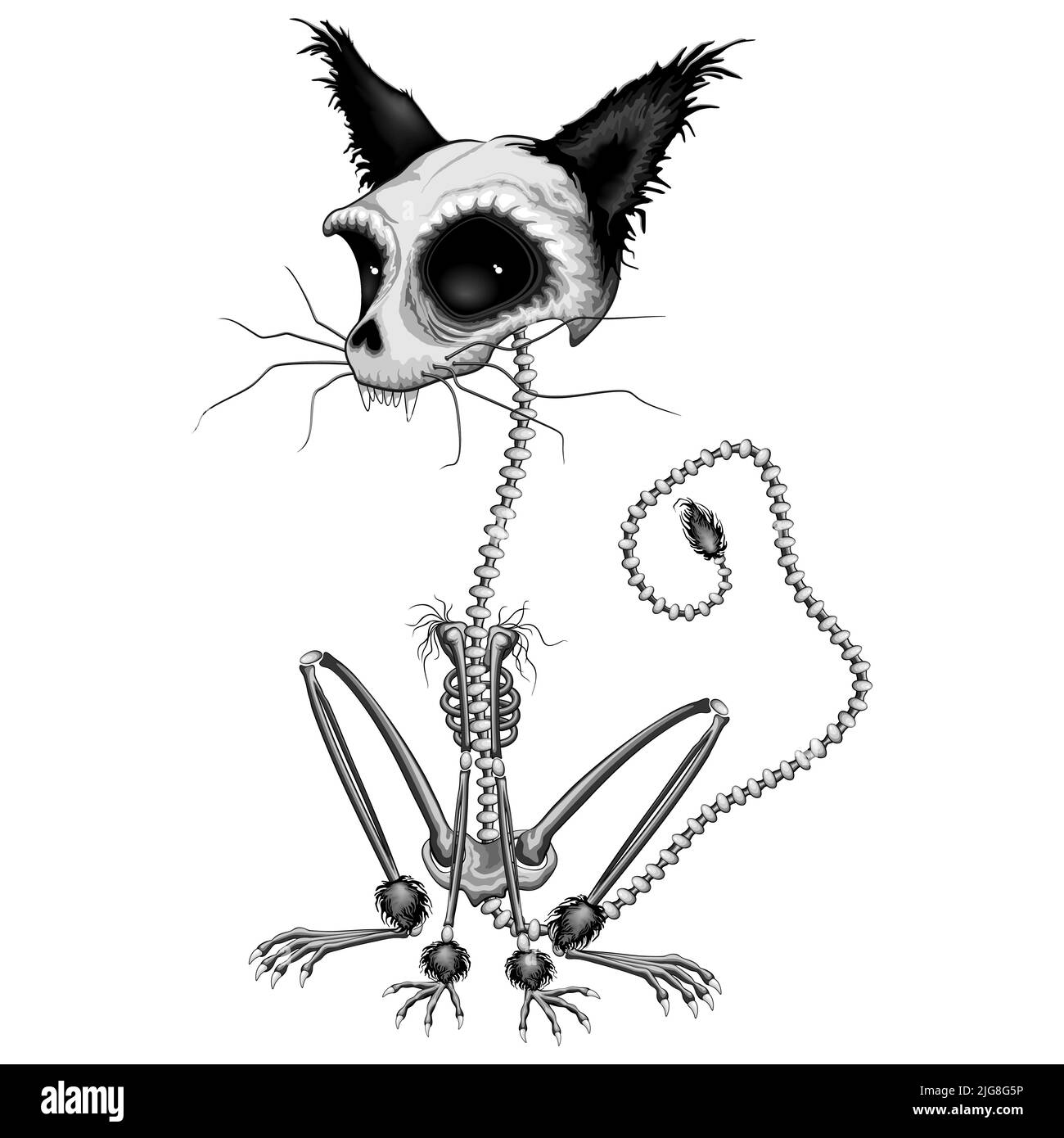 Skeleton di gatto creepy, personaggio di Halloween spooky - illustrazione vettoriale Illustrazione Vettoriale