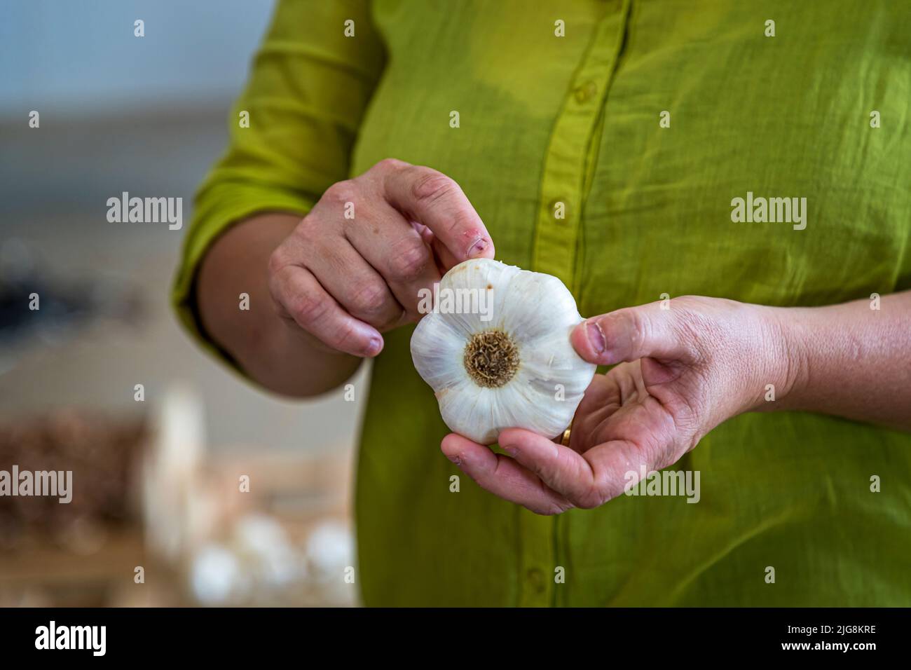 Fanny Boutarin di Maison Boutarin a Crest, Drôme, Francia, tiene una testa di aglio appena raccolta dell'"Ail bianco della Drôme" protetto IGP (varietà Messidor e Messidrôme). Gestisce l'azienda agricola di famiglia insieme a suo marito Stéphane, che trasforma parte del raccolto in aglio nero: i bulbi maturano per 30 giorni a bassa temperatura secondo la tradizione giapponese, con i loro zuccheri che si caramellano naturalmente. Foto Stock