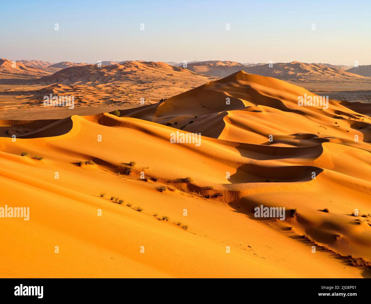 Sulla strada tra le dune del Rub-al-Khali, Oman. Foto Stock