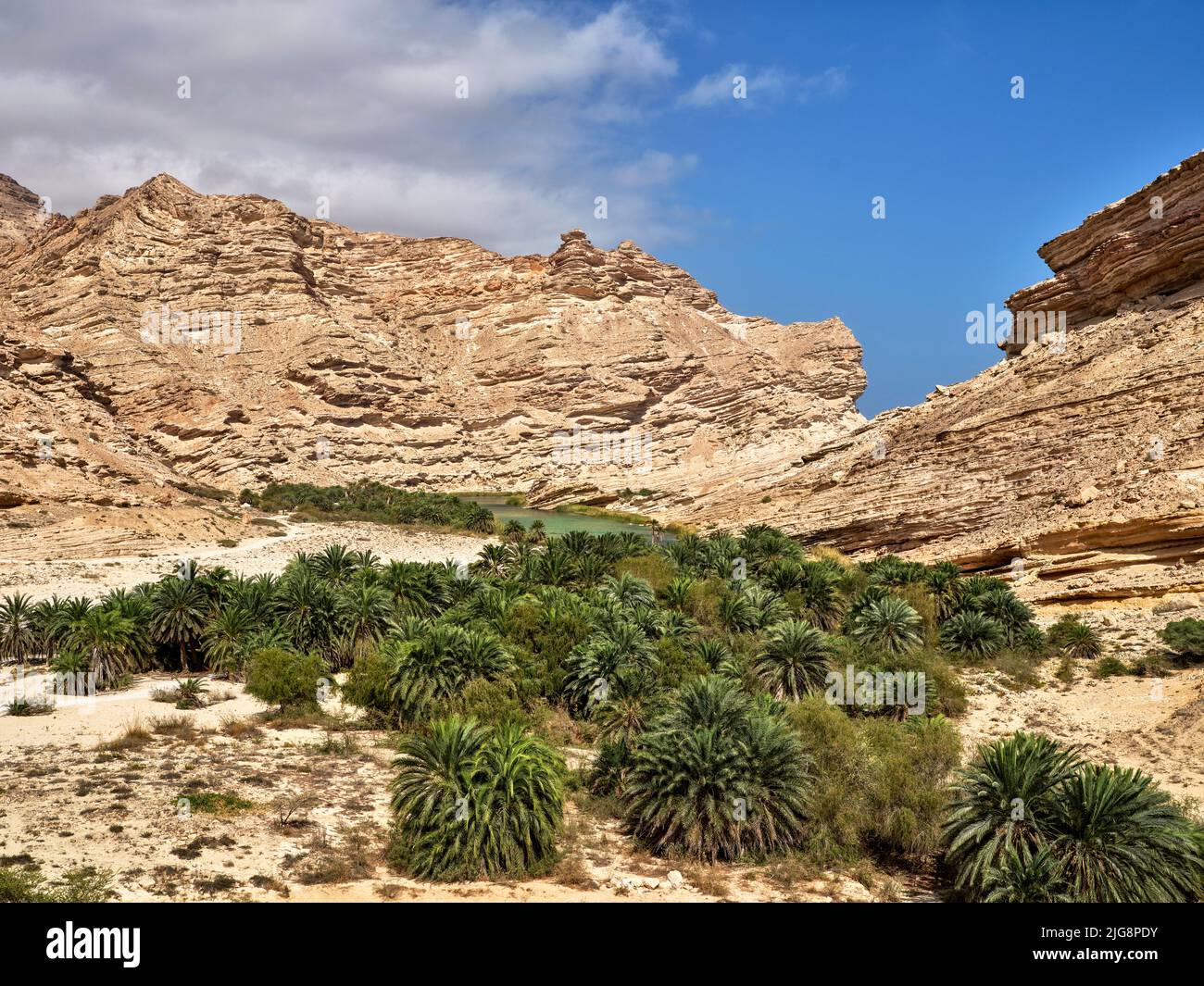 Lungo la strada costiera 42, tra Hasik e Ash Shuwaymiyyah, Oman. Foto Stock