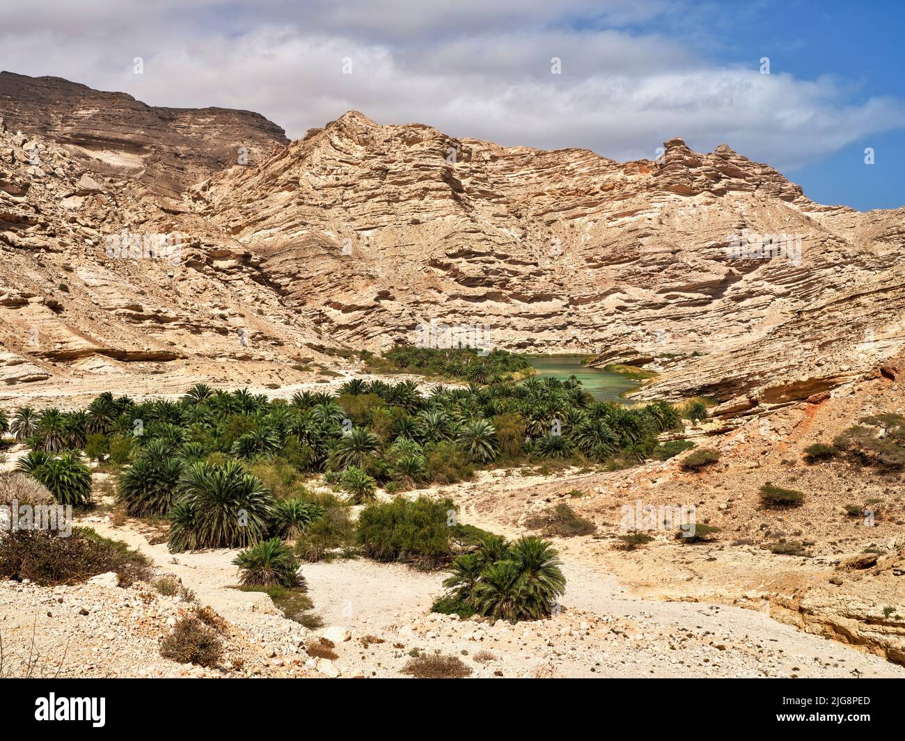 Lungo la strada costiera 42, tra Hasik e Ash Shuwaymiyyah, Oman. Foto Stock