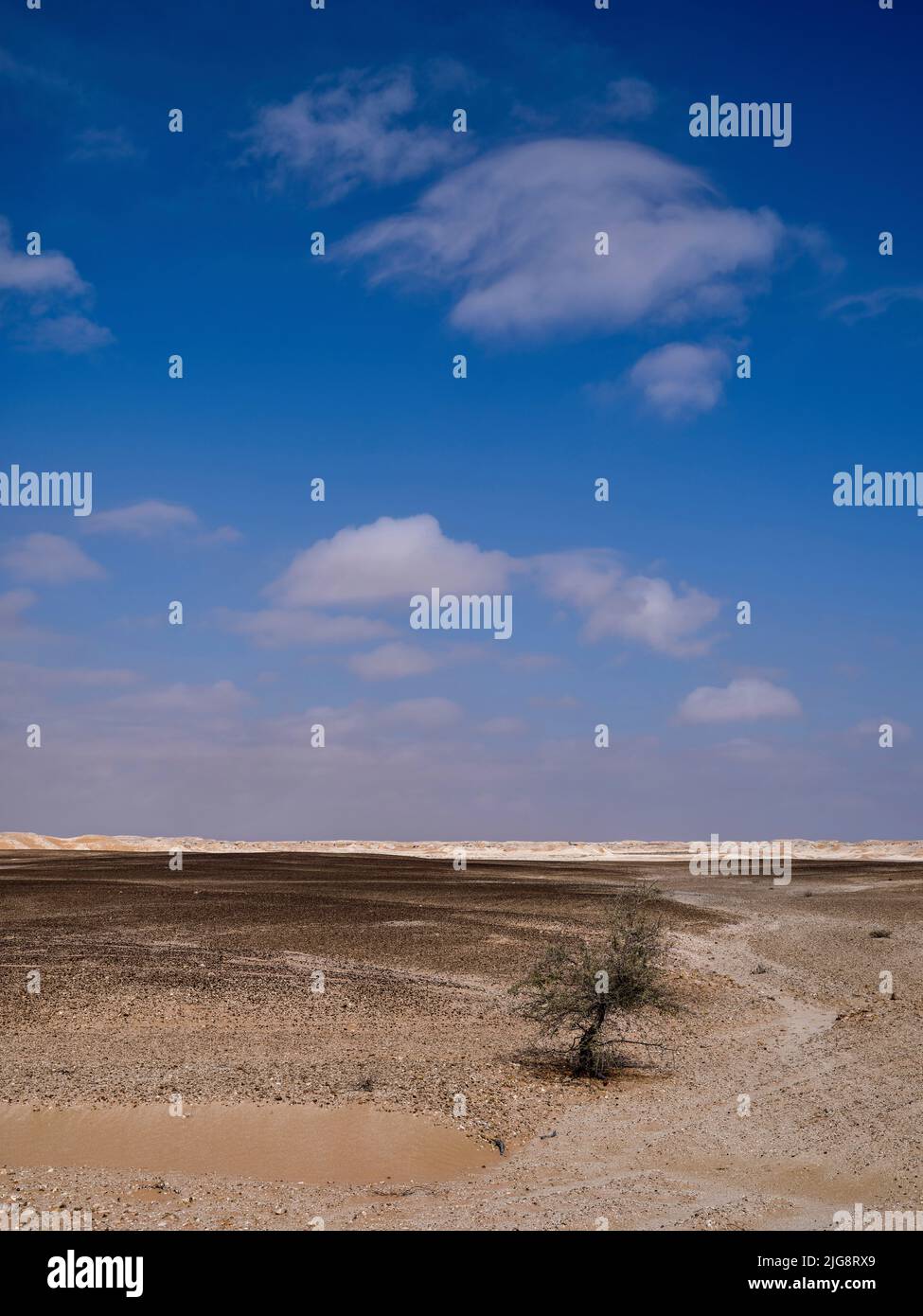 Sulla strada in al Huqf, un deserto di pietra tra il Mare Arabico e il Rub al-Khali, Oman Foto Stock