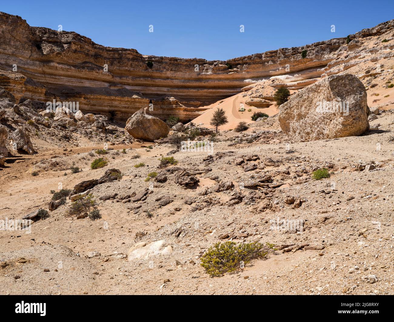 Sulla strada in al Huqf, un deserto di pietra tra il Mare Arabico e il Rub al-Khali, Oman Foto Stock