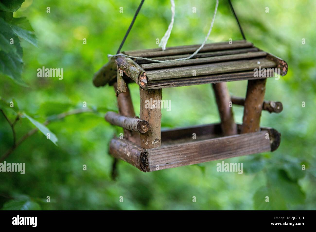 Bird house per uccelli da giardino e scoiattoli in estate Foto Stock