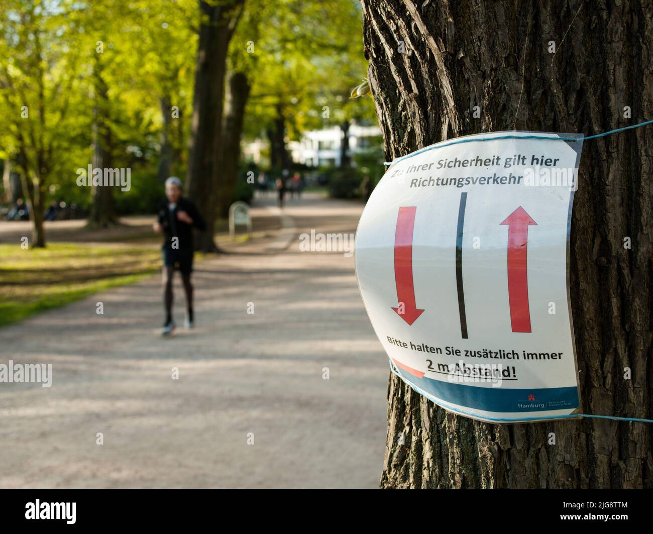 Jogging nel parco Foto Stock