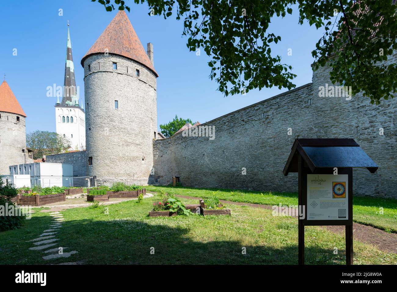 Tallinn, Estonia. Luglio 2022. Il giardino comunale della città vecchia, situato nel centro della città, è stato ispirato dal medievale non-Hildegard e la sua visione del gro Foto Stock