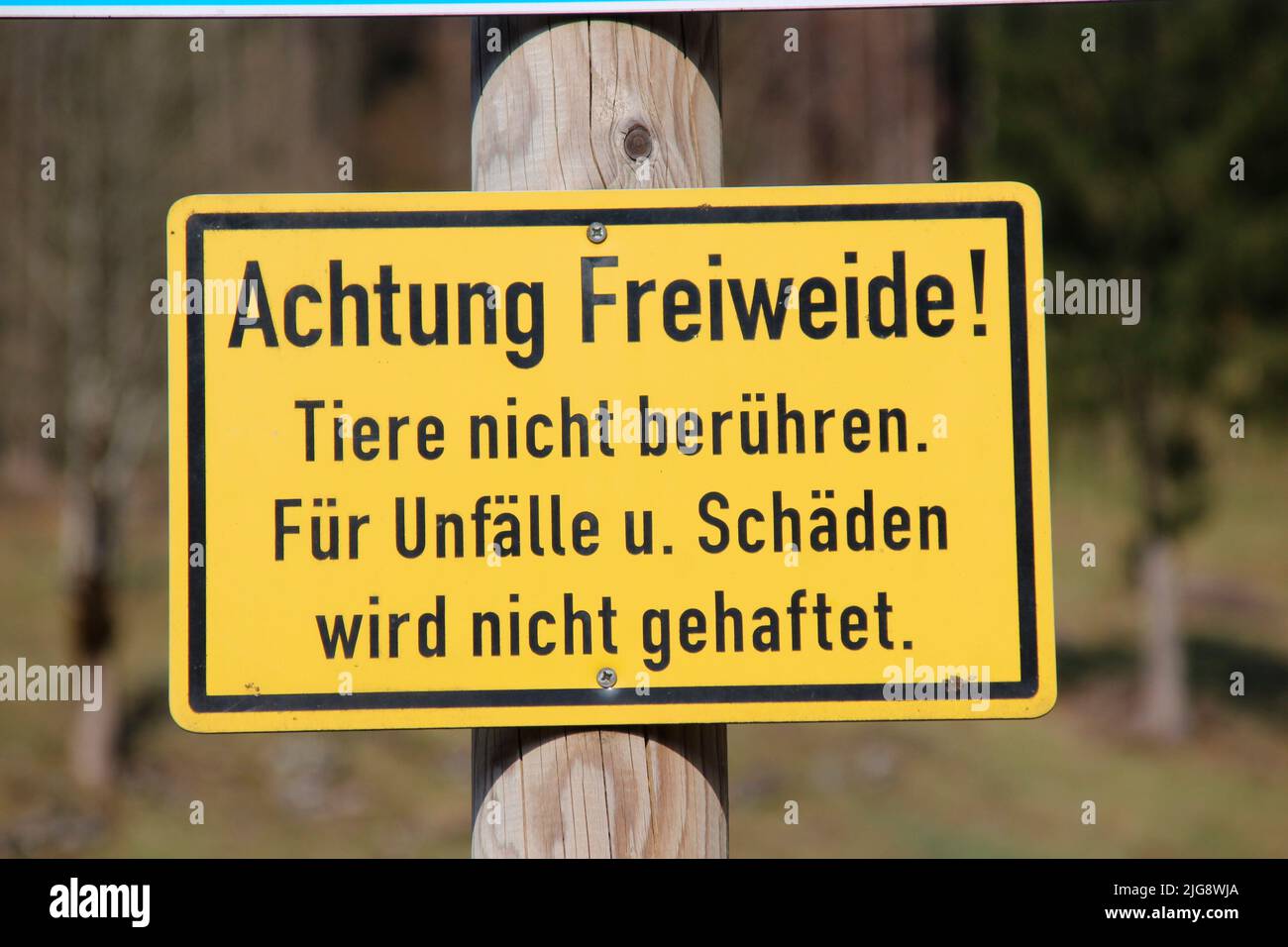 Pascolo alpino segno 'attenzione libero pascolo! Non toccare gli animali. Per incidenti u. I danni non sono responsabili." Germania, Baviera, alta Baviera, Garmisch- Partenkirchen, Graseck Foto Stock
