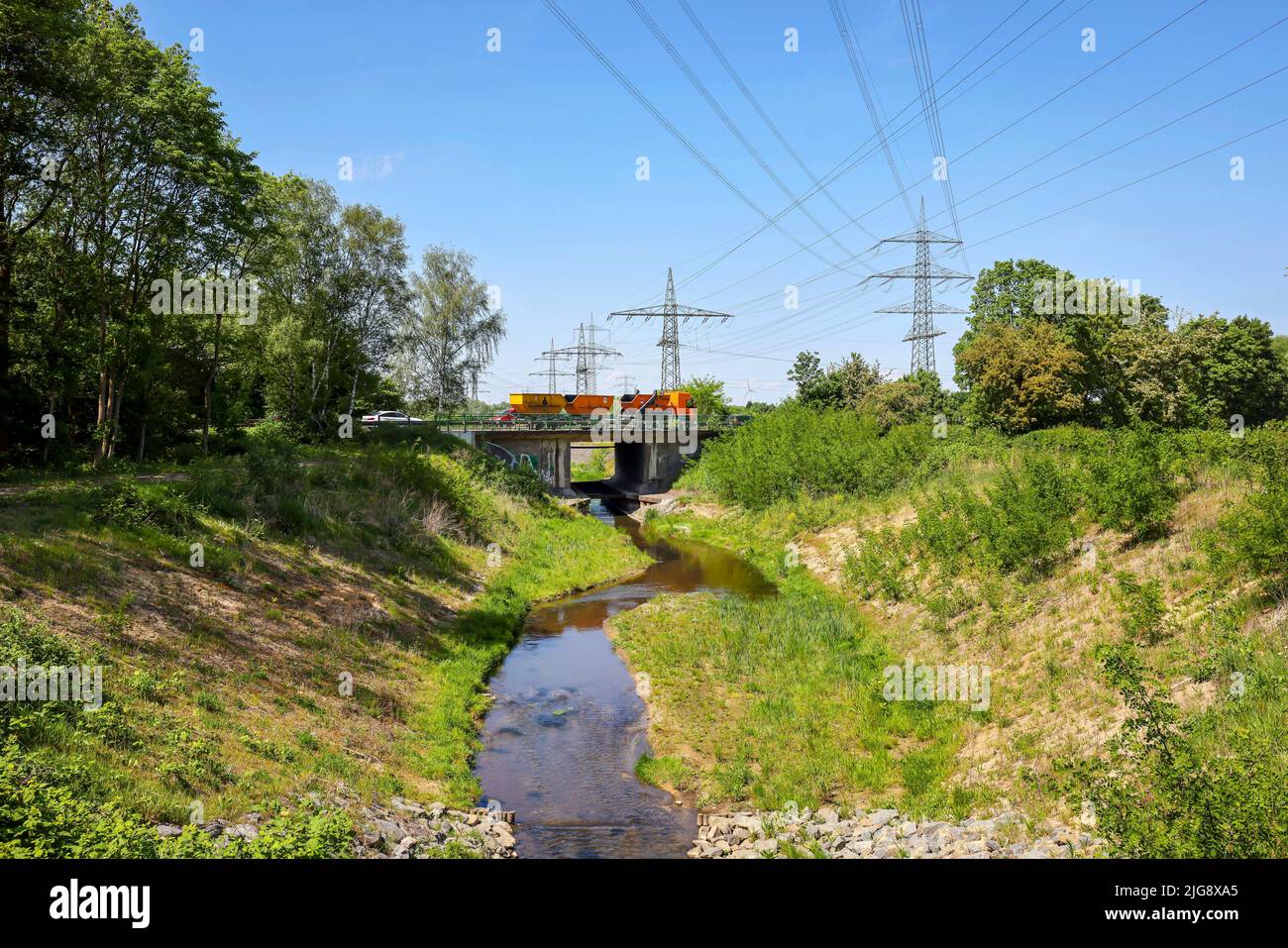 Renaturalized Boye, affluente dell'Emscher, ricostruzione di Emscher, Bottrop, Renania settentrionale-Vestfalia, Germania Foto Stock