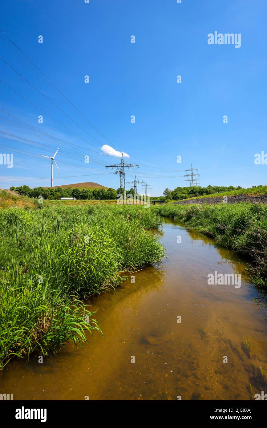 Renaturalized Boye, affluente dell'Emscher, ricostruzione di Emscher, Bottrop, Renania settentrionale-Vestfalia, Germania Foto Stock