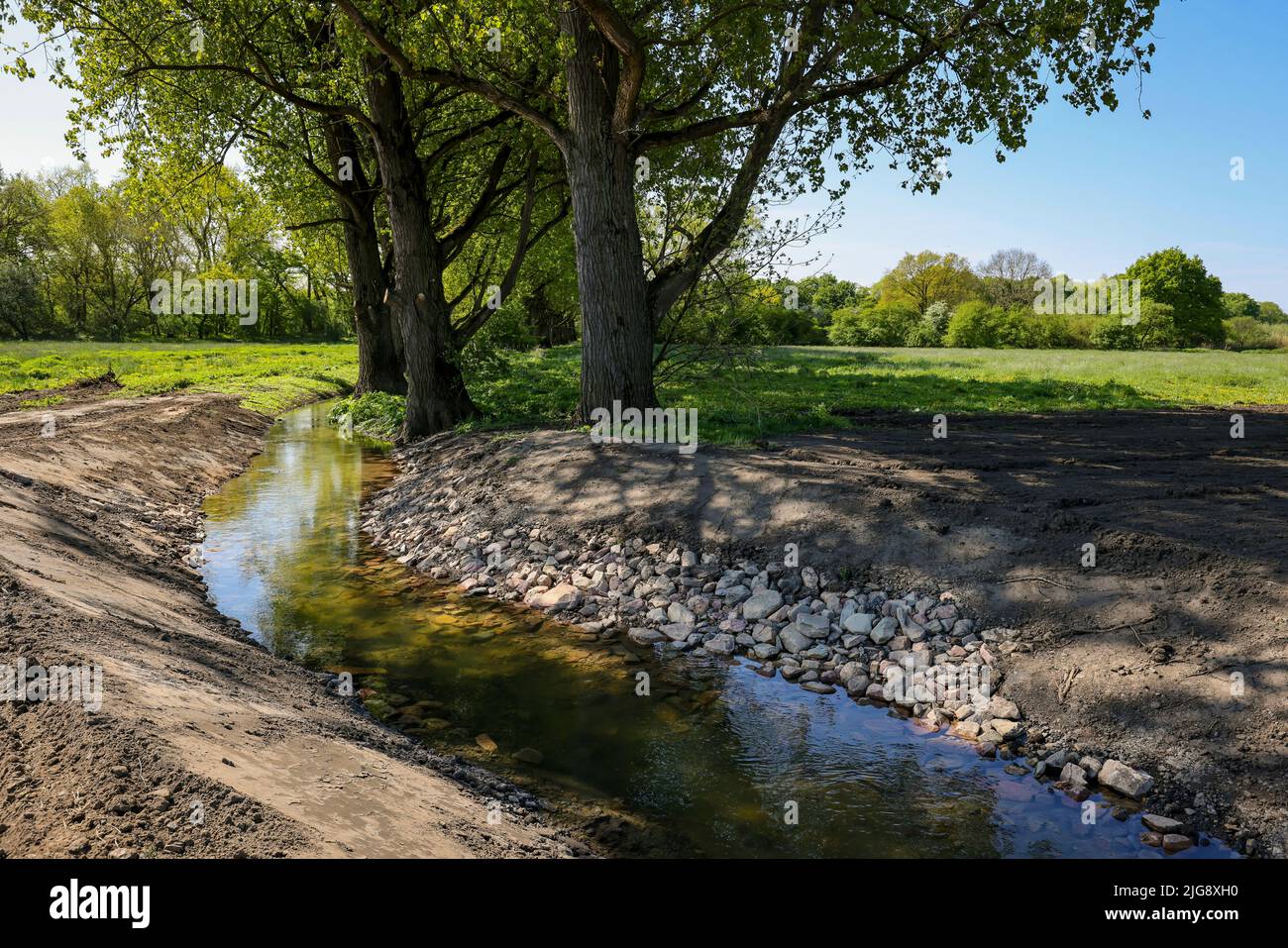 Rinaturalizzato Gecksbach, protezione contro le alluvioni sul fiume Lippe, Haltern, Renania settentrionale-Vestfalia, Germania Foto Stock