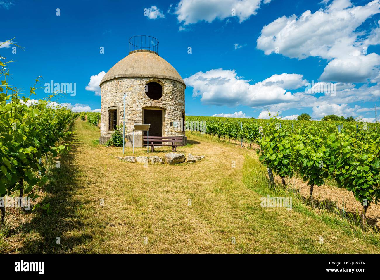 Babo cottage a Rheinhessen, un cottage nel vigneto, il cosiddetto trullo, in riferimento a cottage simili in Puglia, serve come rifugio per i viticoltori in condizioni di maltempo, Foto Stock