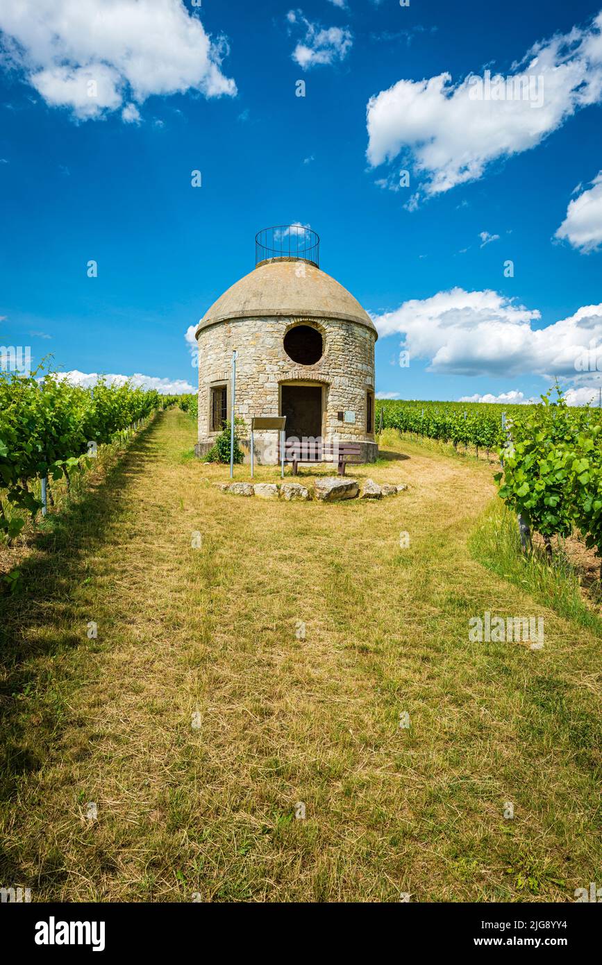 Babo cottage a Rheinhessen, un cottage nel vigneto, il cosiddetto trullo, in riferimento a cottage simili in Puglia, serve come rifugio per i viticoltori in condizioni di maltempo, Foto Stock