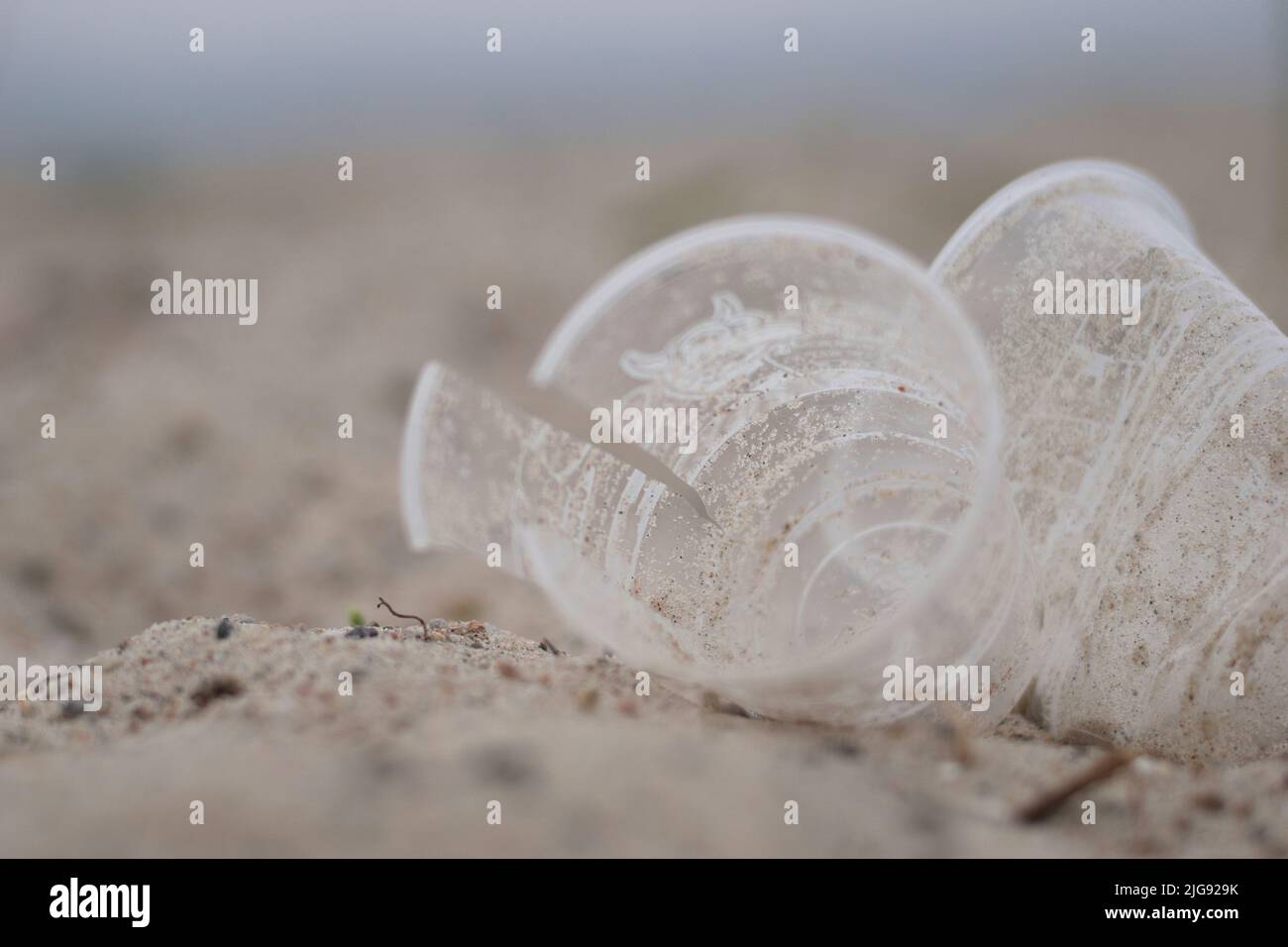 Tazze di plastica monouso vuote sulla spiaggia del fiordo di Kiel a Friedrichsort, Kiel, Germania Foto Stock