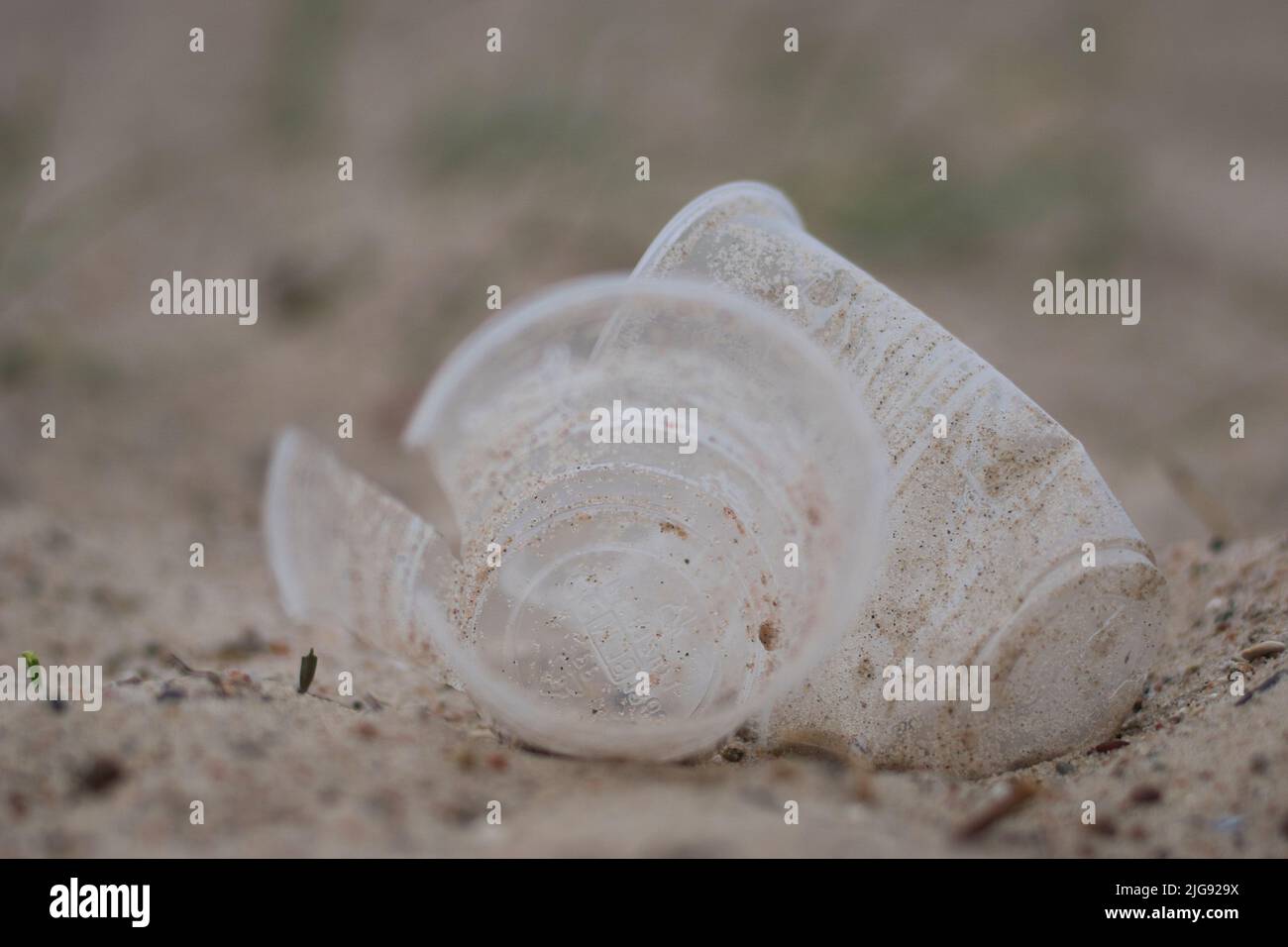 Tazze di plastica monouso vuote sulla spiaggia del fiordo di Kiel a Friedrichsort, Kiel, Germania Foto Stock