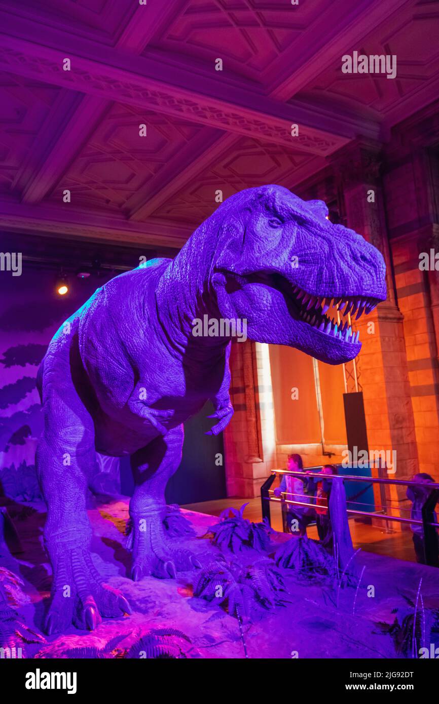 Inghilterra, Londra, South Kensington, il Museo di Storia Naturale, Animatonic modello di un Tirannosauro Rex dinosauro Foto Stock