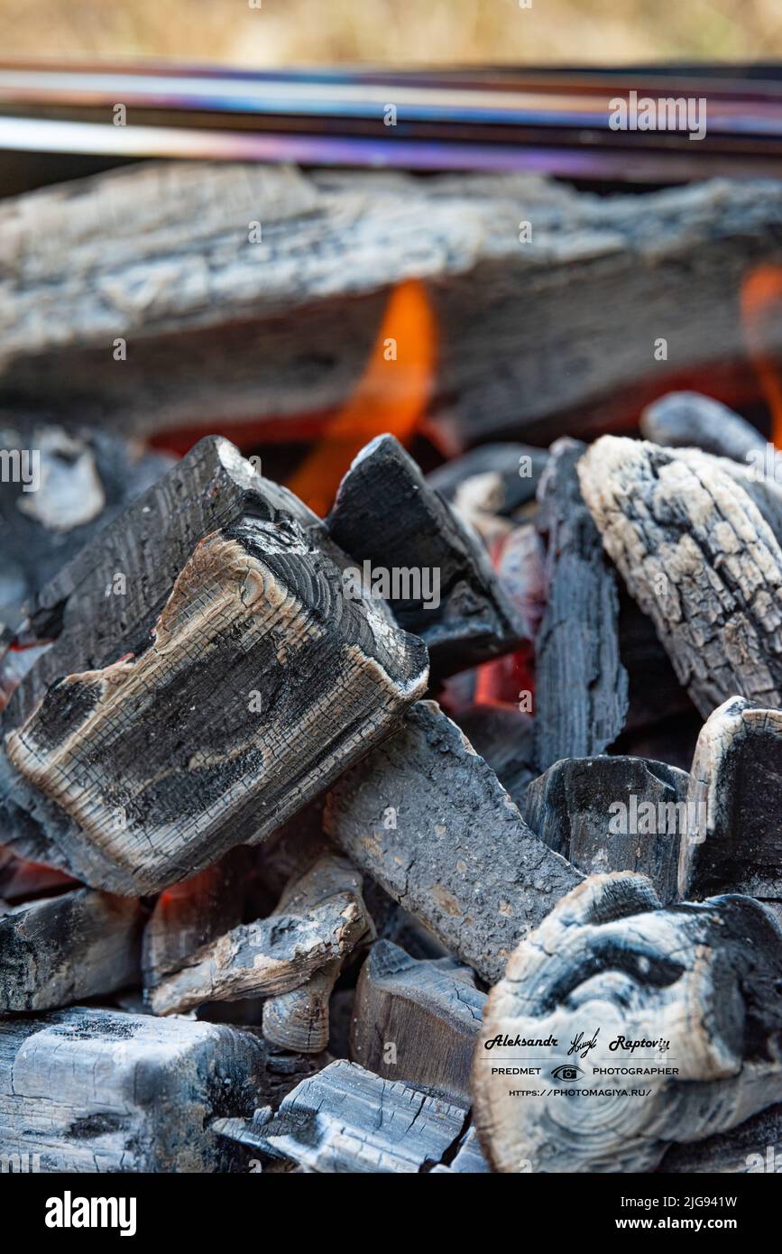 Picntk. Brace e fuoco dal fumkehouse grill, fuoco nella griglia Foto Stock