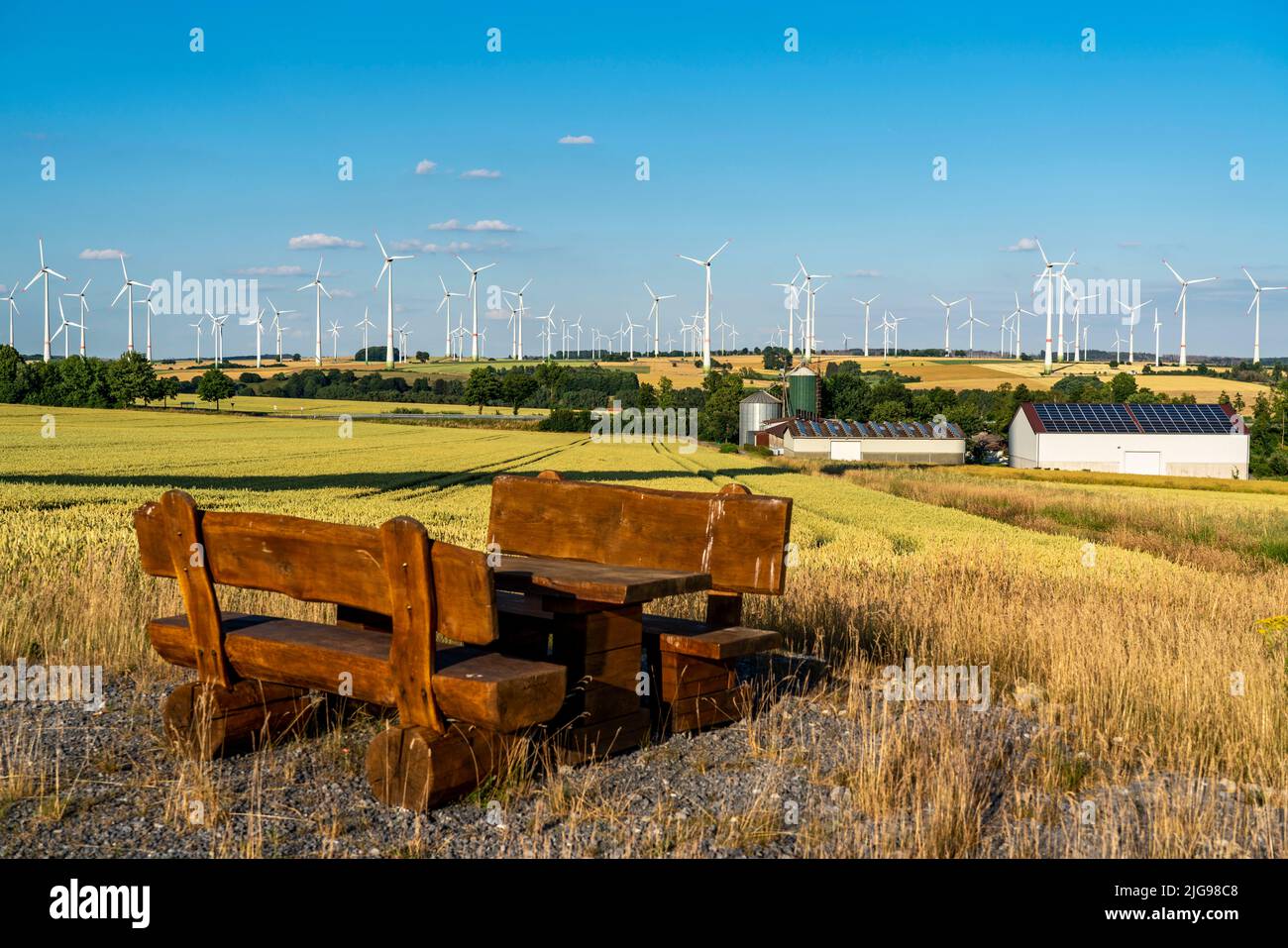 Wind farm vicino alla città della Westfalia orientale di Energiestadt Lichtenau, azienda agricola con impianto fotovoltaico, oltre 80 turbine eoliche su questa collina Foto Stock