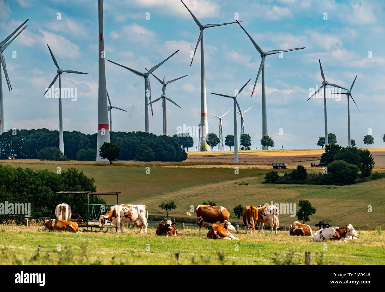 Wind farm vicino alla città della Westfalia orientale di Energiestadt Lichtenau, molte case e aziende con impianti fotovoltaici sui tetti, più di 80 vincere Foto Stock