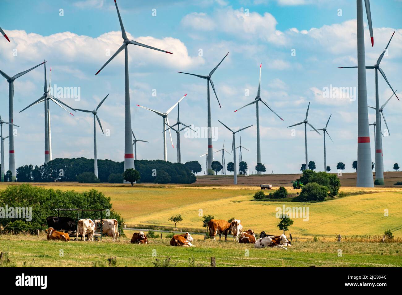 Wind farm vicino alla città della Westfalia orientale di Energiestadt Lichtenau, molte case e aziende con impianti fotovoltaici sui tetti, più di 80 vincere Foto Stock