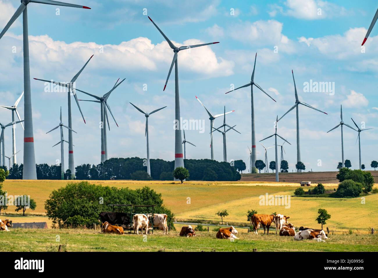 Wind farm vicino alla città della Westfalia orientale di Energiestadt Lichtenau, molte case e aziende con impianti fotovoltaici sui tetti, più di 80 vincere Foto Stock