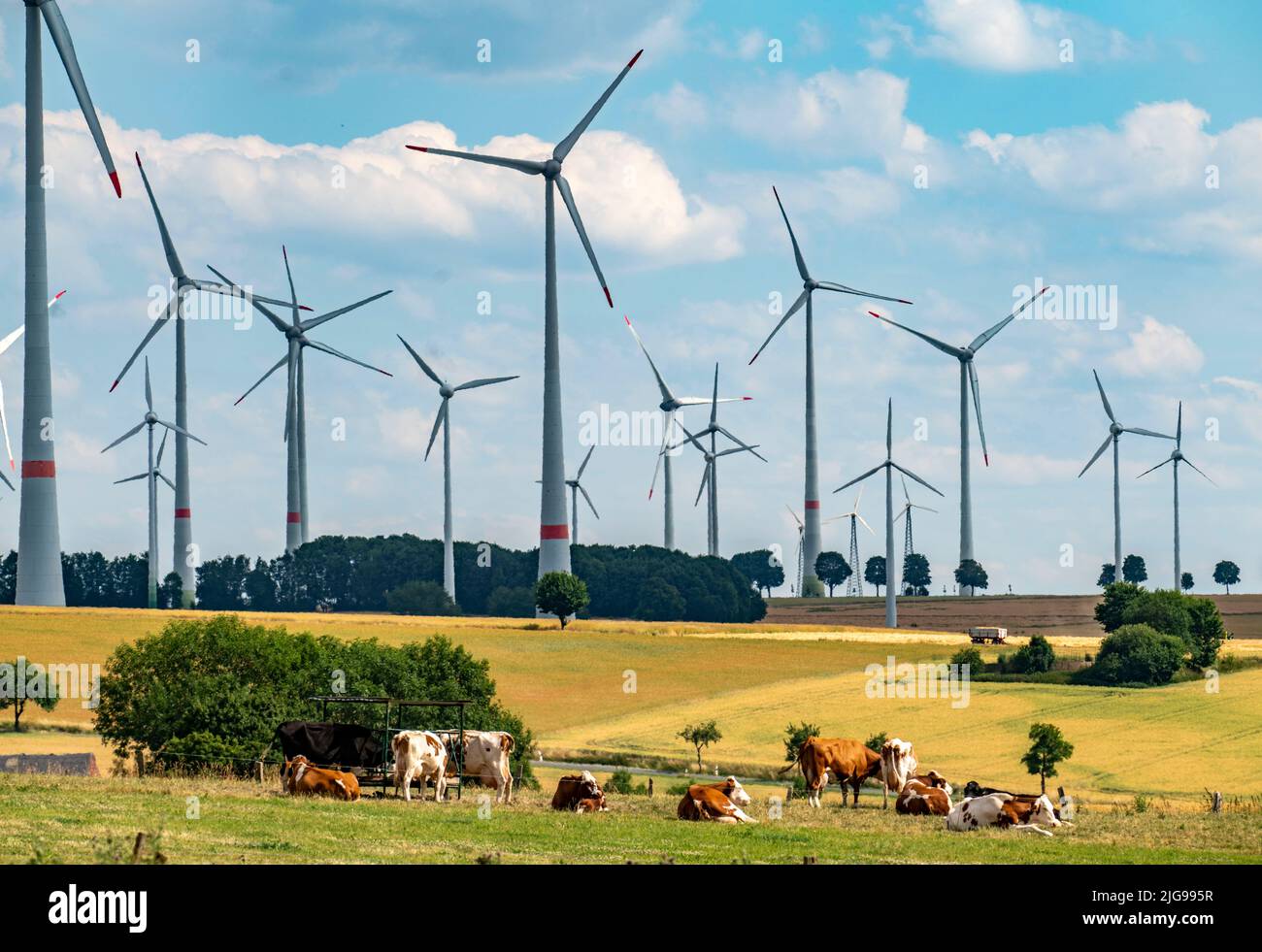 Wind farm vicino alla città della Westfalia orientale di Energiestadt Lichtenau, molte case e aziende con impianti fotovoltaici sui tetti, più di 80 vincere Foto Stock
