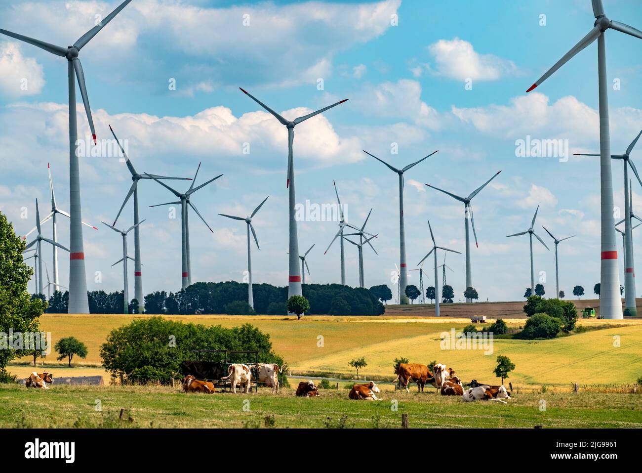 Wind farm vicino alla città della Westfalia orientale di Energiestadt Lichtenau, molte case e aziende con impianti fotovoltaici sui tetti, più di 80 vincere Foto Stock