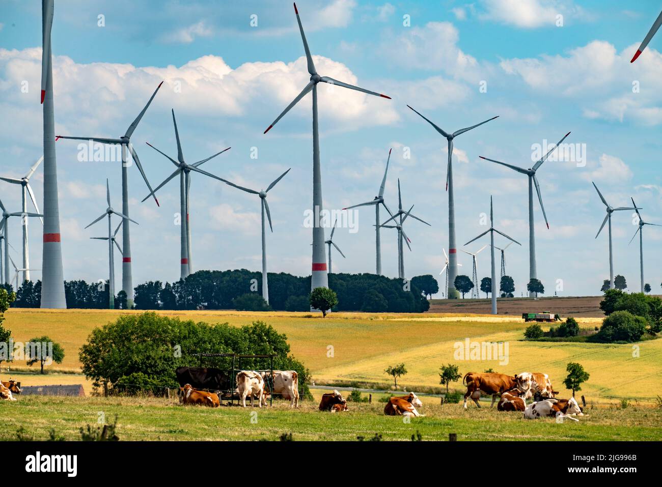Wind farm vicino alla città della Westfalia orientale di Energiestadt Lichtenau, molte case e aziende con impianti fotovoltaici sui tetti, più di 80 vincere Foto Stock