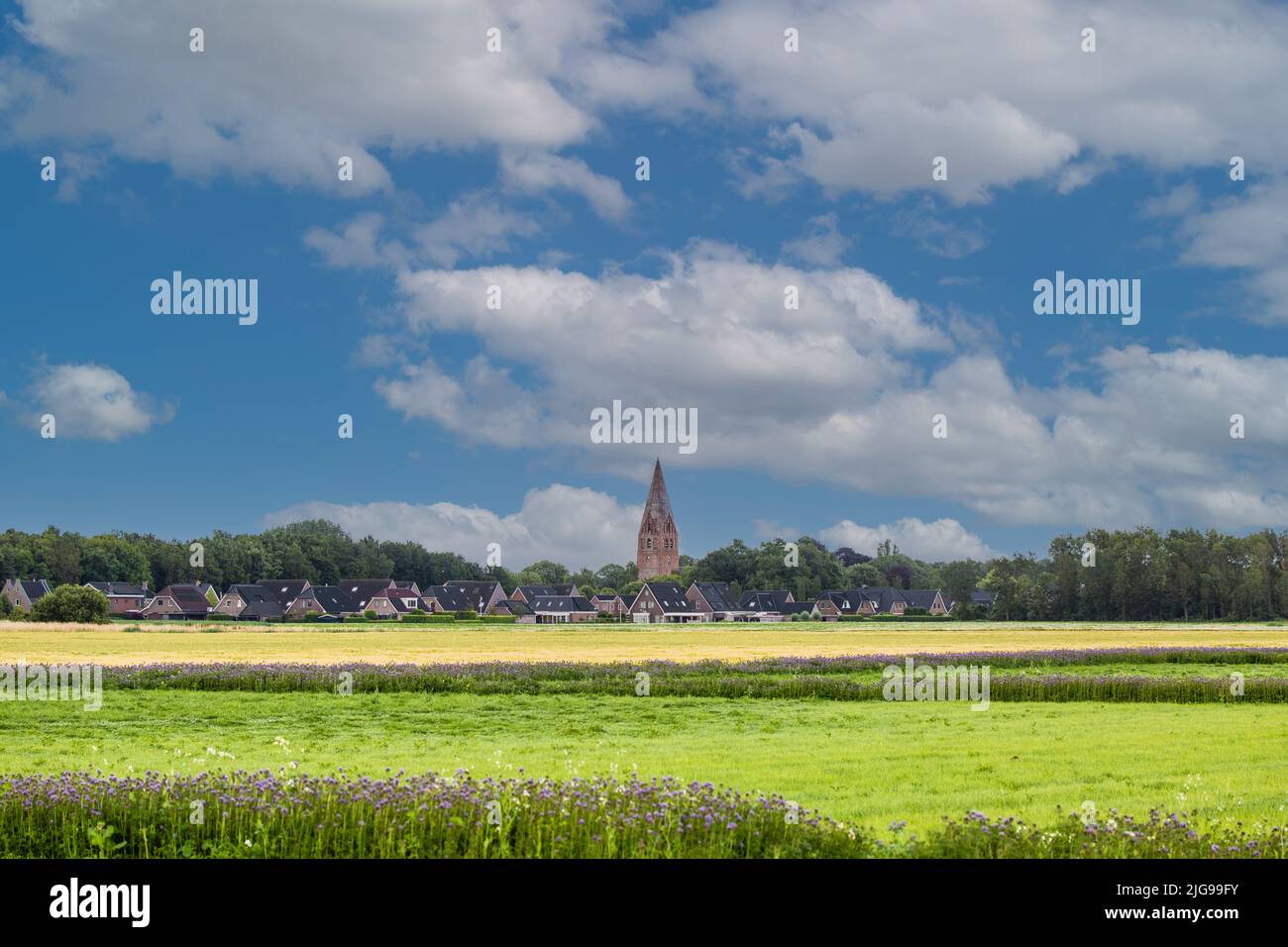 Paesaggio della provincia olandese di Groningen con uno skyline del villaggio di Schildwolde con case e un distaccato cosiddetto Juffertoren, una chiesa t Foto Stock