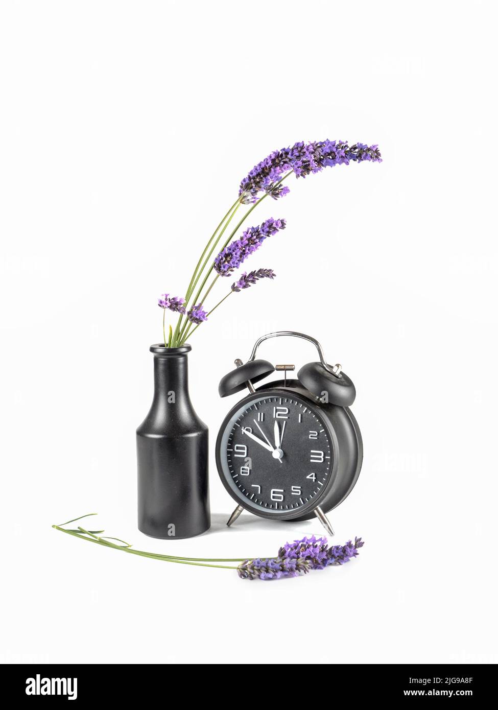 Lavanda in vaso scuro con vecchia sveglia. Concetto di passaggio del tempo. Foto Stock