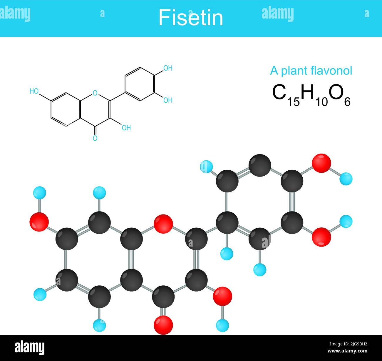 Fisetin. Formula chimica strutturale di un flavonolo vegetale. Formula scheletrica di una sostanza chimica con attività antitumorale in studi su cellule e. Illustrazione Vettoriale