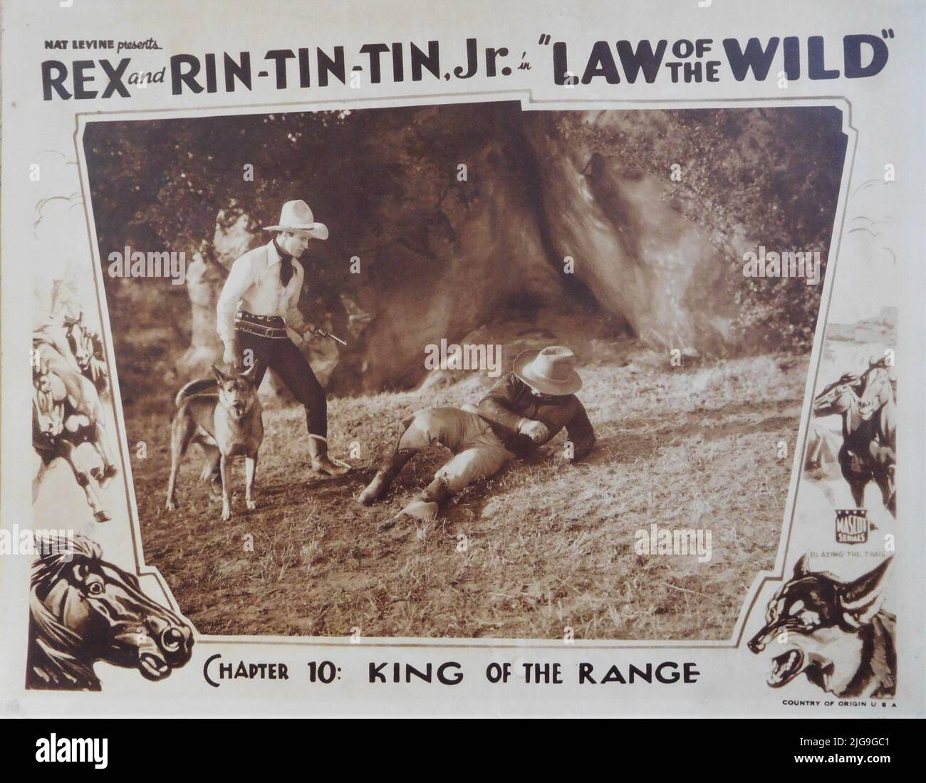 BOB CUSTER REX The Wonder Horse e RIN-TIN Jr. Nel Capitolo 10 RE DELLA GAMMA dell'episodio 12 diritto seriale DEI 1934 registi SELVATICI B. REEVES EASON e ARMAND SCHAEFER Mascot Pictures Foto Stock BOB CUSTER REX The Wonder Horse e RIN-TIN Jr. Nel Capitolo 10 RE DELLA GAMMA dell'episodio 12 diritto seriale DEI 1934 registi SELVATICI B. REEVES EASON e ARMAND SCHAEFER Mascot Pictures Foto Stock