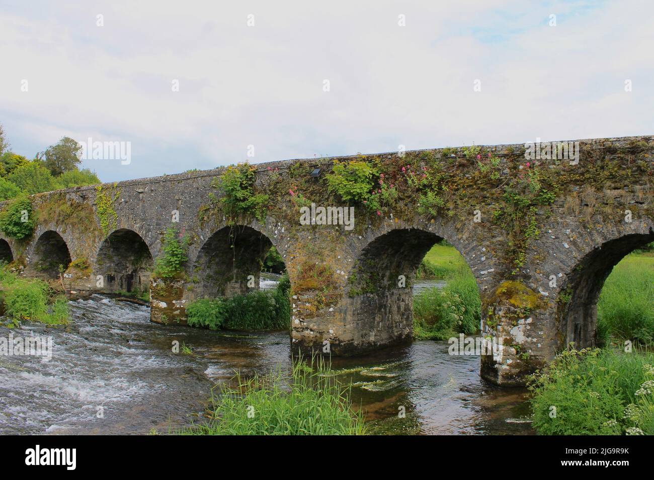 Vecchio ponte vicino Cork, Irlanda Foto Stock
