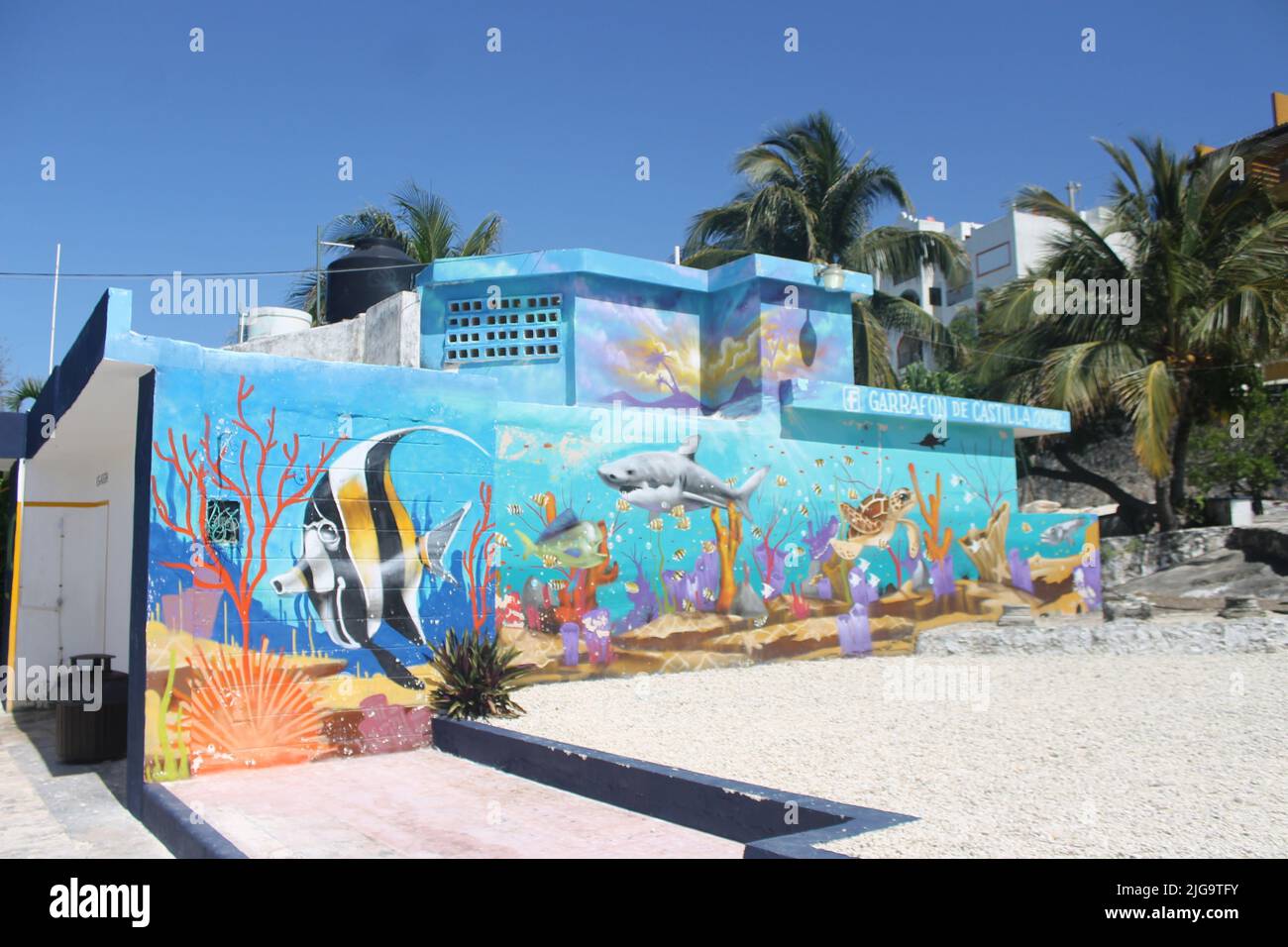 Arte di strada tropicale, Isla Mujeres, Messico Foto Stock