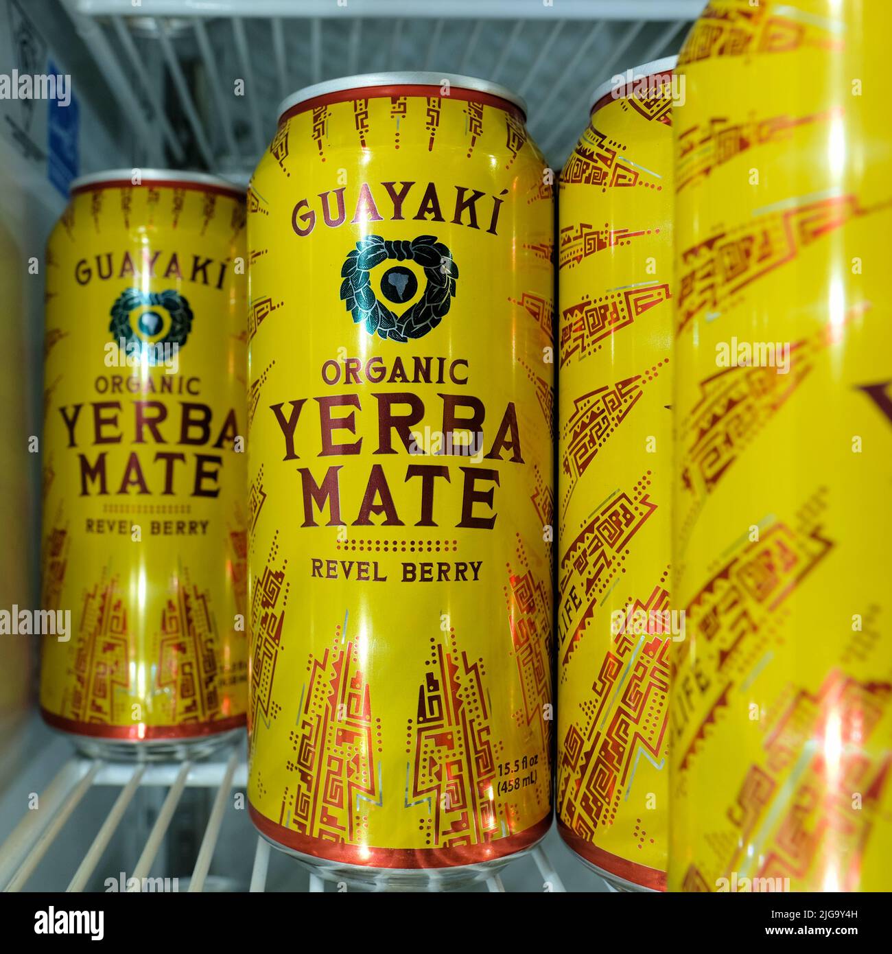 Lattine di Guayaki organico marca yerba mate Revel Berry sapore su un vassoio frigorifero grata bianco o ripiano; in scatola yerba mate per un comodo acquisto. Foto Stock