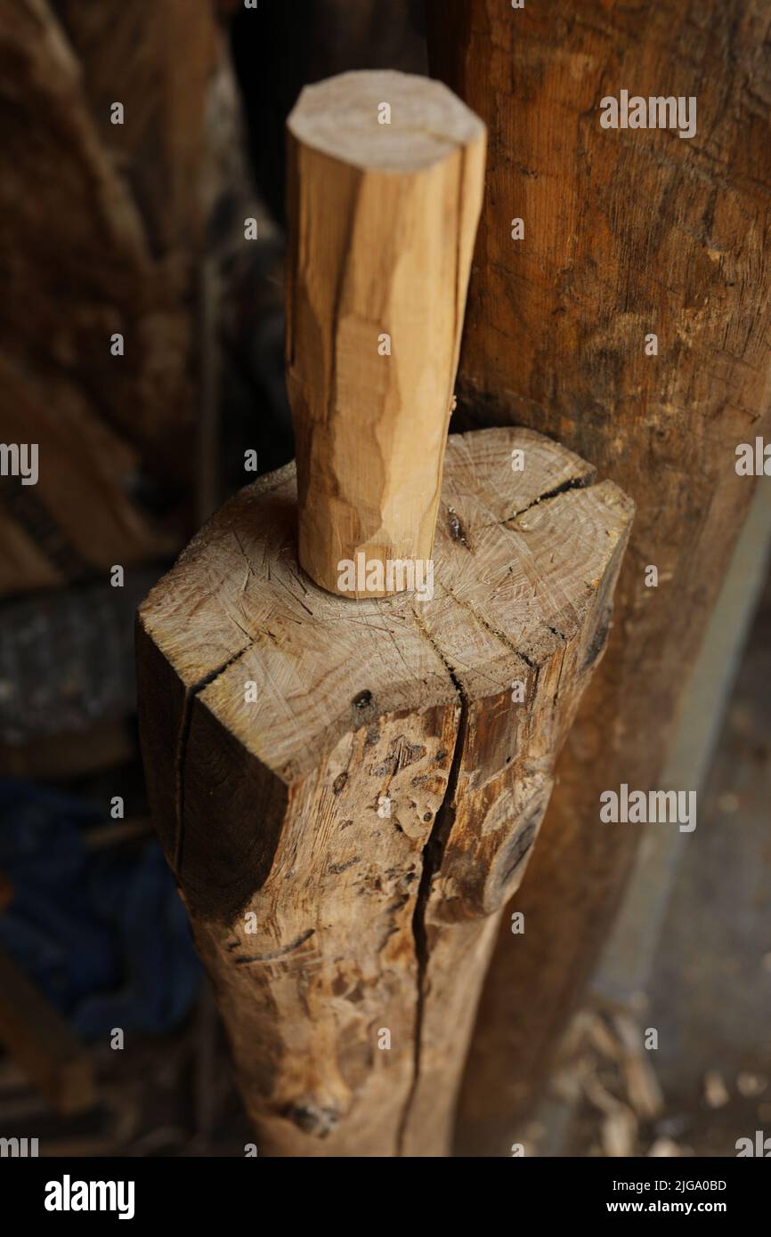 Casa fatto boccaglio di legno, buco alla fine del tronco di albero senza corteccia Foto Stock