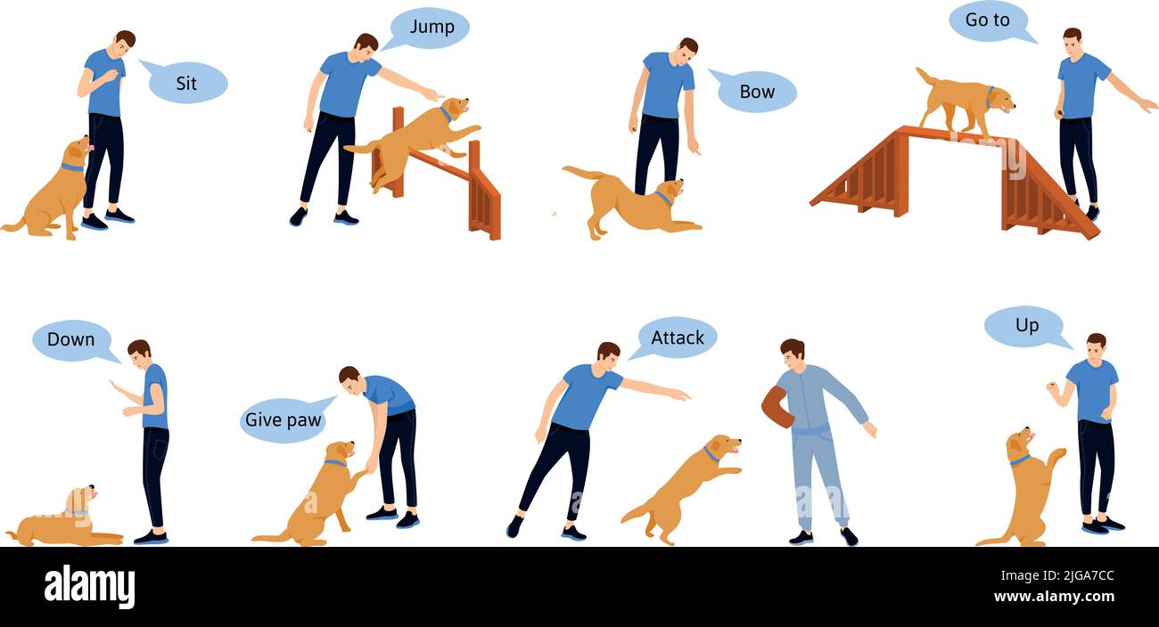 Infografica flat addestramento cane con immagini di cani personaggi umani e bolle con comandi di testo modificabili illustrazione vettoriale Illustrazione Vettoriale