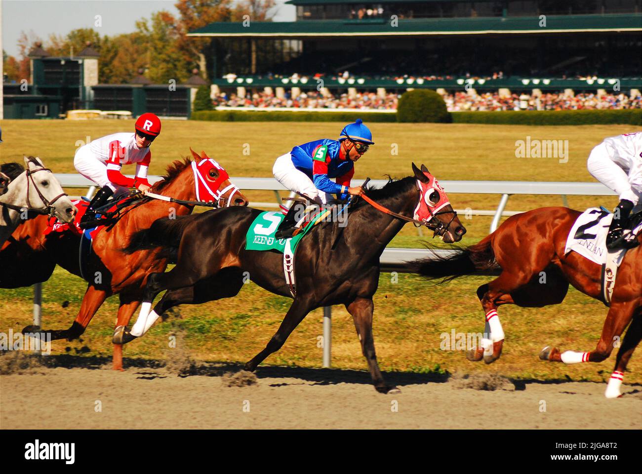I jockeys spingono i cavalli per andare più velocemente mentre corrono in una giornata di sole all'ippodromo Keeneland di Lexington, Kentucky Foto Stock