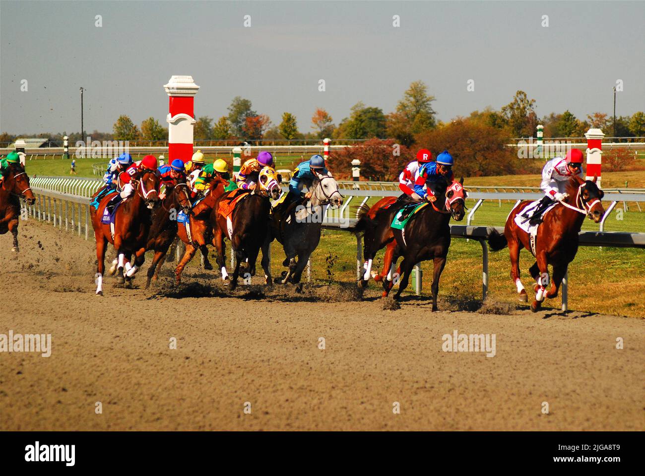 I cavalli e i loro cavallini si cavalcano intorno all'ultima curva fino al traguardo mentre si corre l'ippica al Keeneland Race Track di Lexington, Kentucky Foto Stock