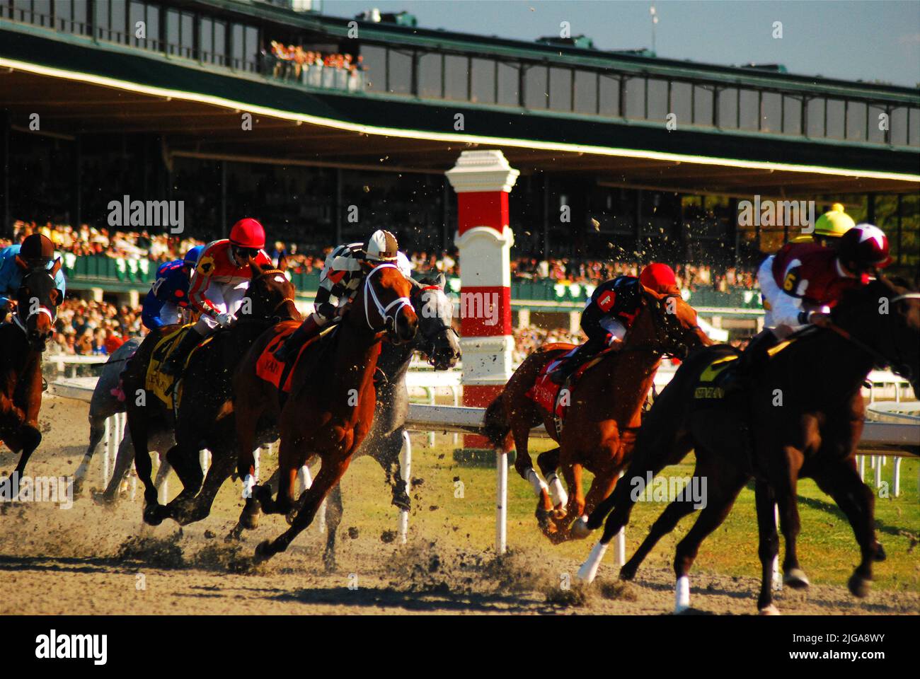 Cavalli da corsa purosangue intorno alla prima curva durante un cavallo al Keeneland Race Track nella regione di Blue Grass di Lexington, Kentucky Foto Stock