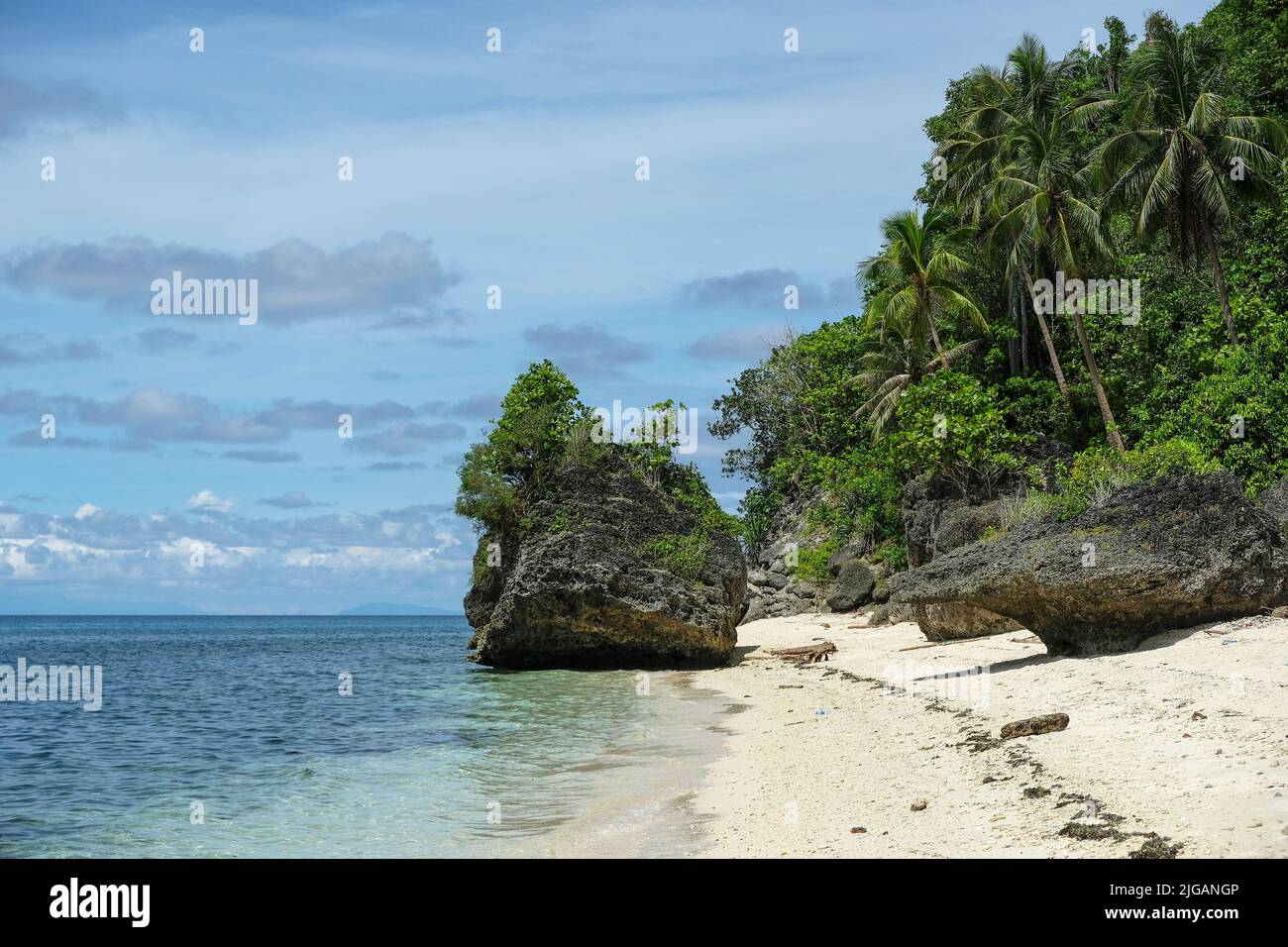 Vista sulla spiaggia delle scimmie sull'isola di Siquijor, situata nella regione centrale di Visayas delle Filippine. Foto Stock