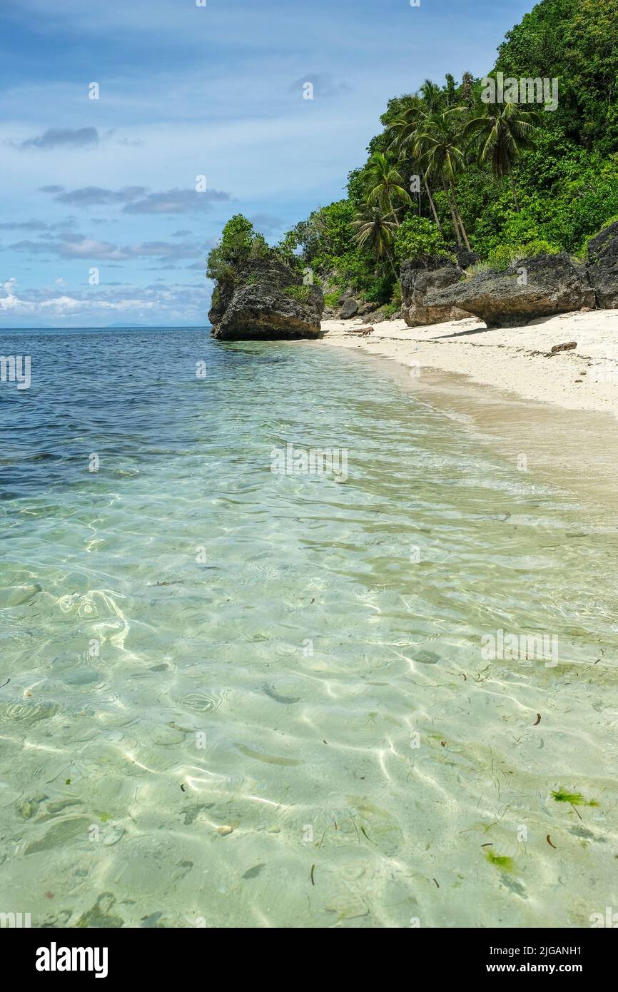 Vista sulla spiaggia delle scimmie sull'isola di Siquijor, situata nella regione centrale di Visayas delle Filippine. Foto Stock