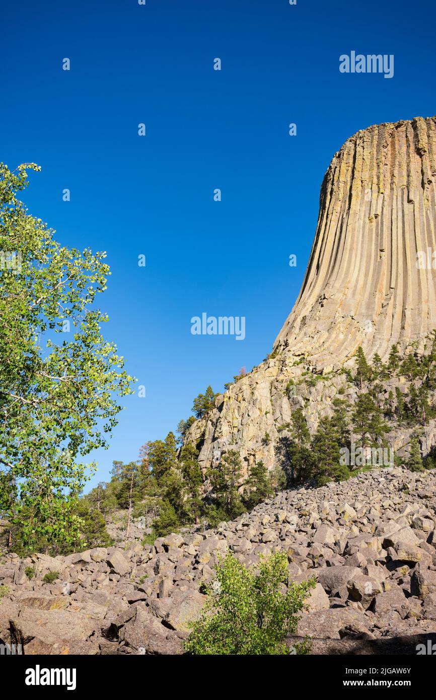 La Devils Tower, una caratteristica geologica che sporge dalla prateria delle Black Hills, è considerata sacra dagli Indiani delle pianure Settentrionali e una di queste Foto Stock