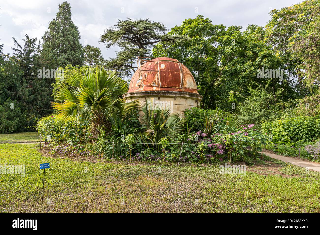 Una cupola di rame arrugginita si erge sopra una fitta vegetazione nel Giardino Botanico di Montpellier, Francia – l’ex padiglione astronomico del giardino. Fu costruito tra il 1877 e il 1879 per ospitare un telescopio di Foucault, dopo che il vecchio osservatorio della città nella Torre Babote era stato abbandonato nel 1793. Il padiglione fu inaugurato il 28 luglio 1879 per osservare l’occultazione della stella Antares da parte della Luna; il telescopio fu rimosso nel 1964. Foto Stock